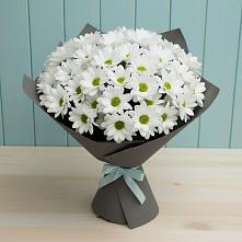 Букет цветов из:  Хризантемы #REPLACE_PRED# Барсуковской