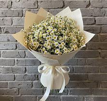 Букет цветов из:  Ромашки в Барсуковской