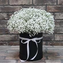 Цветочная композиция из Гипсофила в шляпной коробке #REPLACE_PRED# Барсуковской