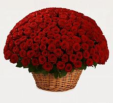 Премиум букет из: Розы в Барсуковской